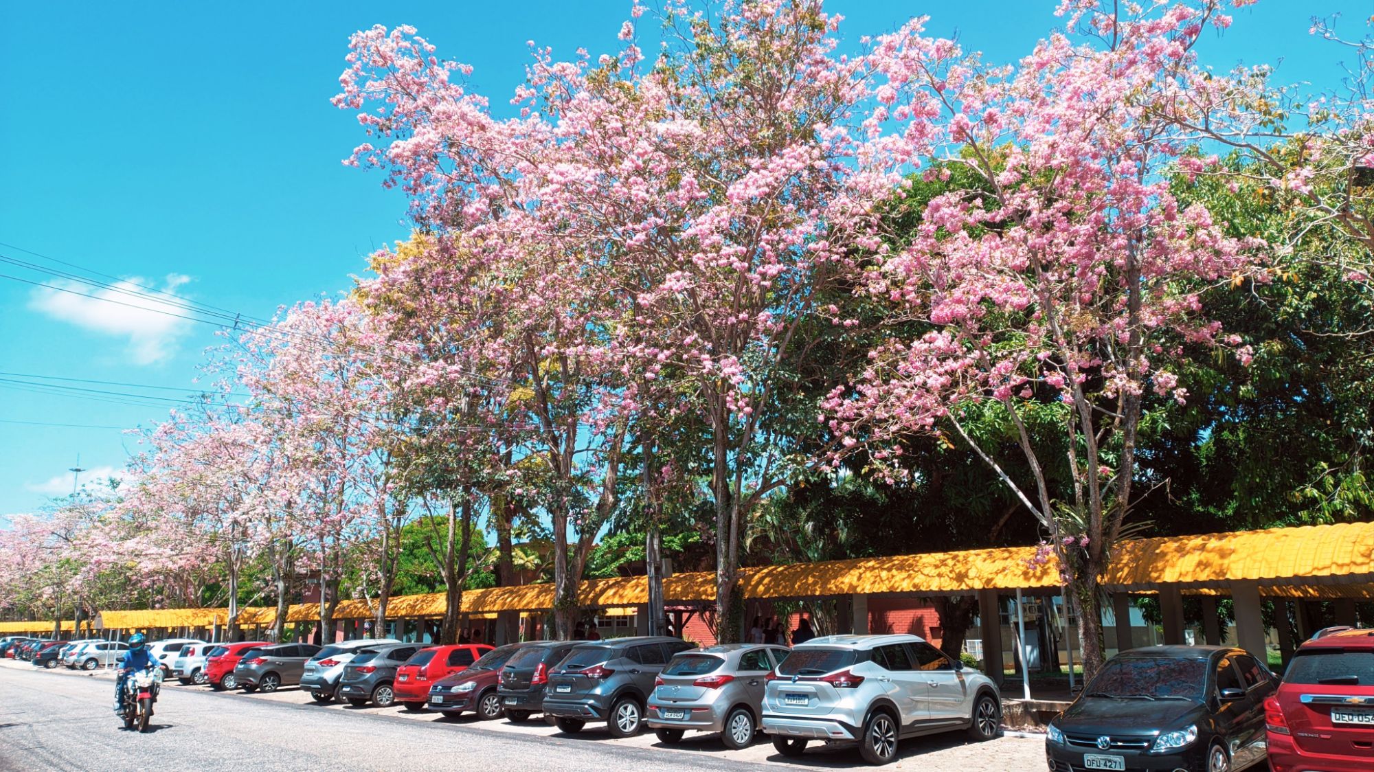 wp-17305089440268500254297883724492